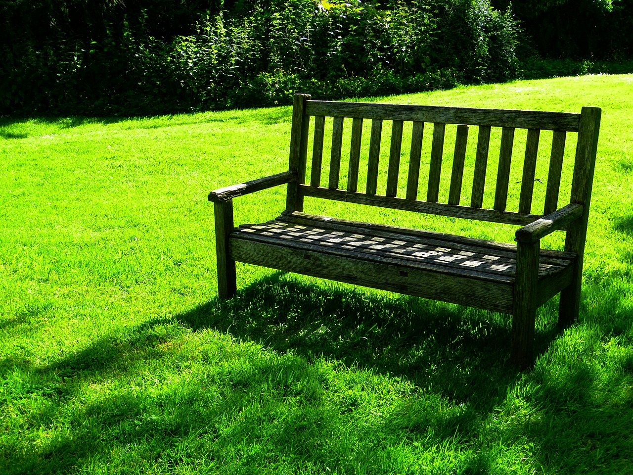 How to Build a DIY Outdoor Bench from Scratch